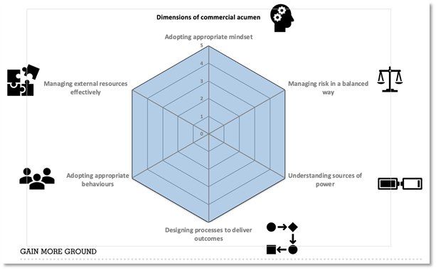 Radar chart showing six dimensions of commercial acumen, including mindset, risk, power and behaviours