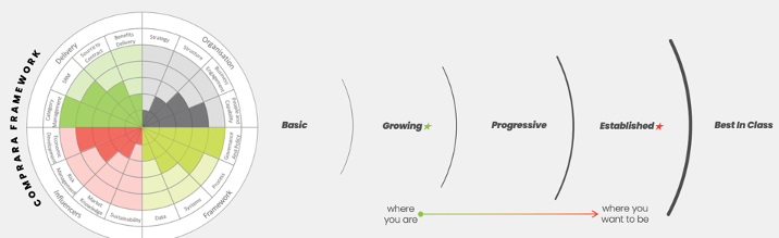 Procurement Maturity Assessment