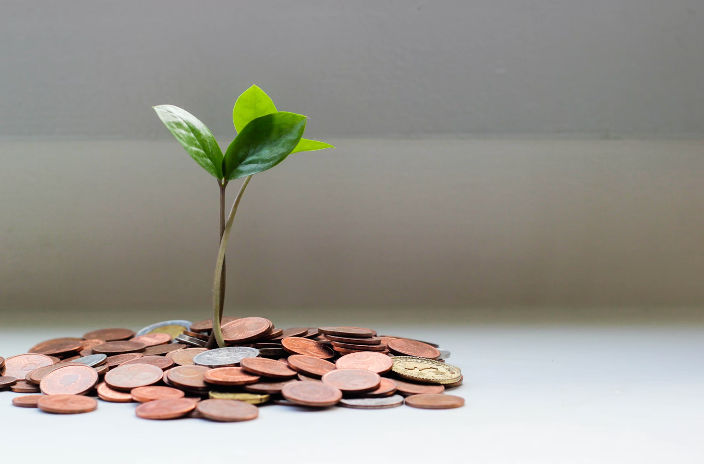 procurement into a cash engine