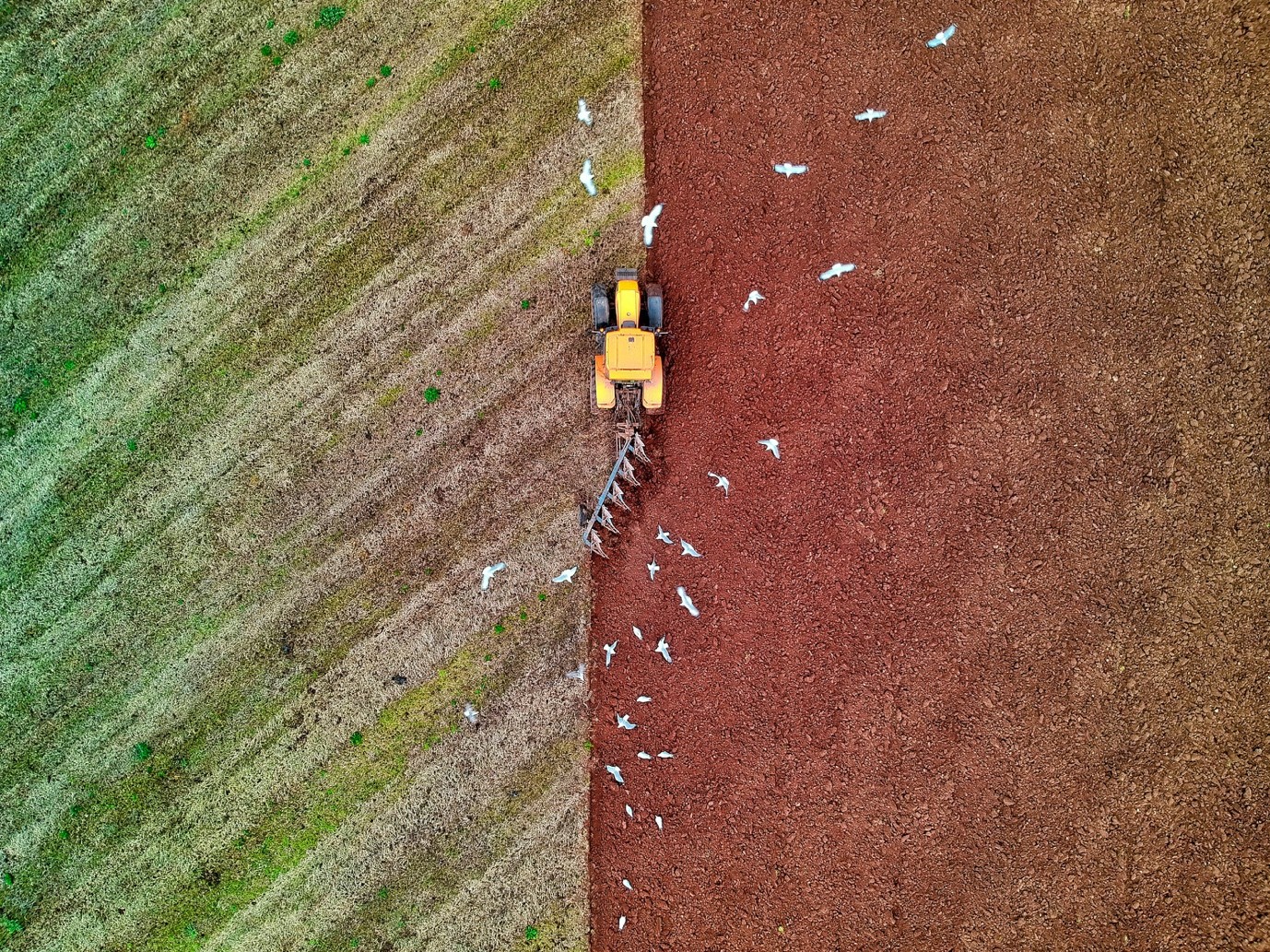 Procurement maturity assessment framework showing five stages from basic to best in class with key capability dimensions